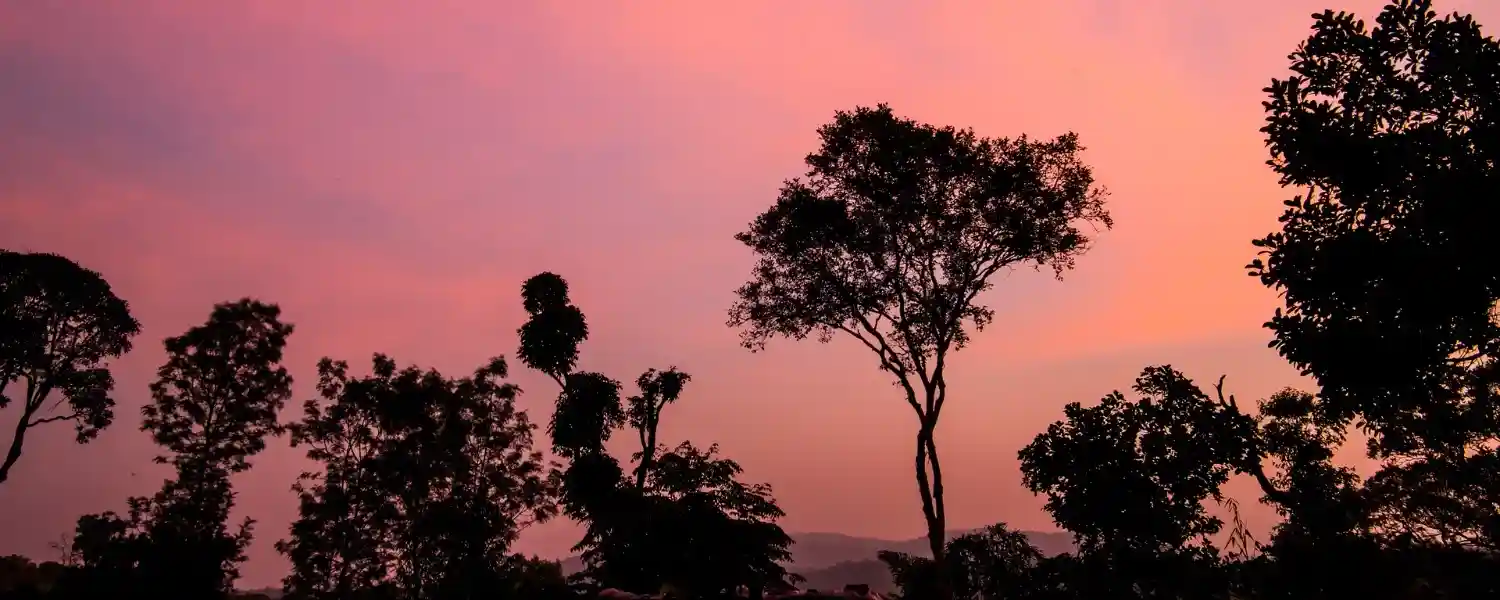 India's Tigers and Nature Trail-1